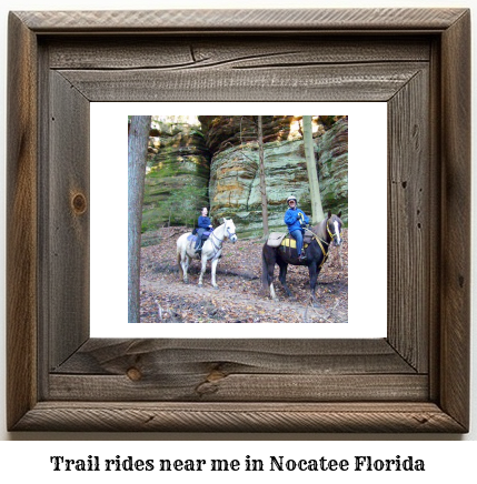 trail rides near me in Nocatee, Florida